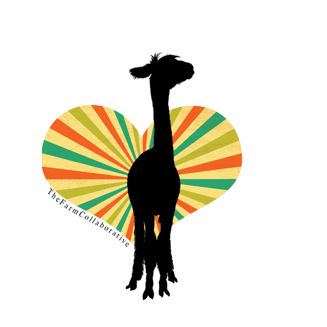 Earth Scouts After School Program - logo